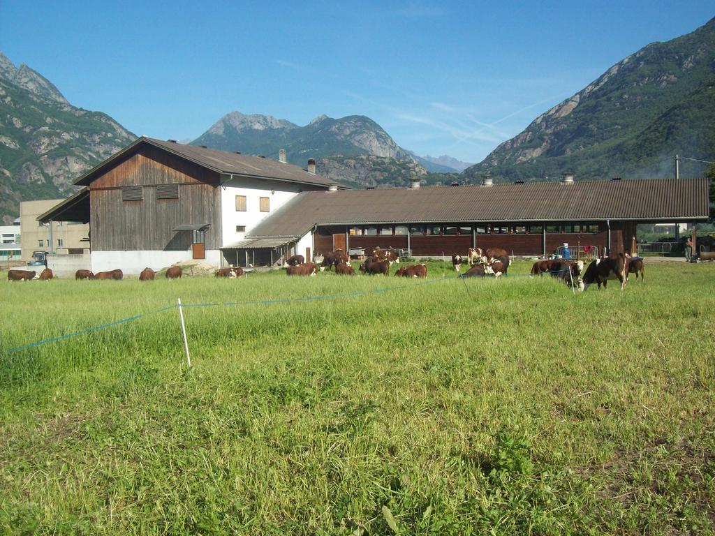 Agriturismo La Grange Pont-Saint-Martin Eksteriør bilde