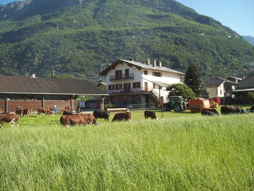 Agriturismo La Grange Pont-Saint-Martin Eksteriør bilde
