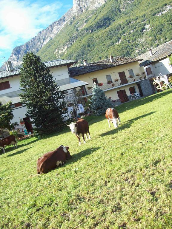 Agriturismo La Grange Pont-Saint-Martin Eksteriør bilde