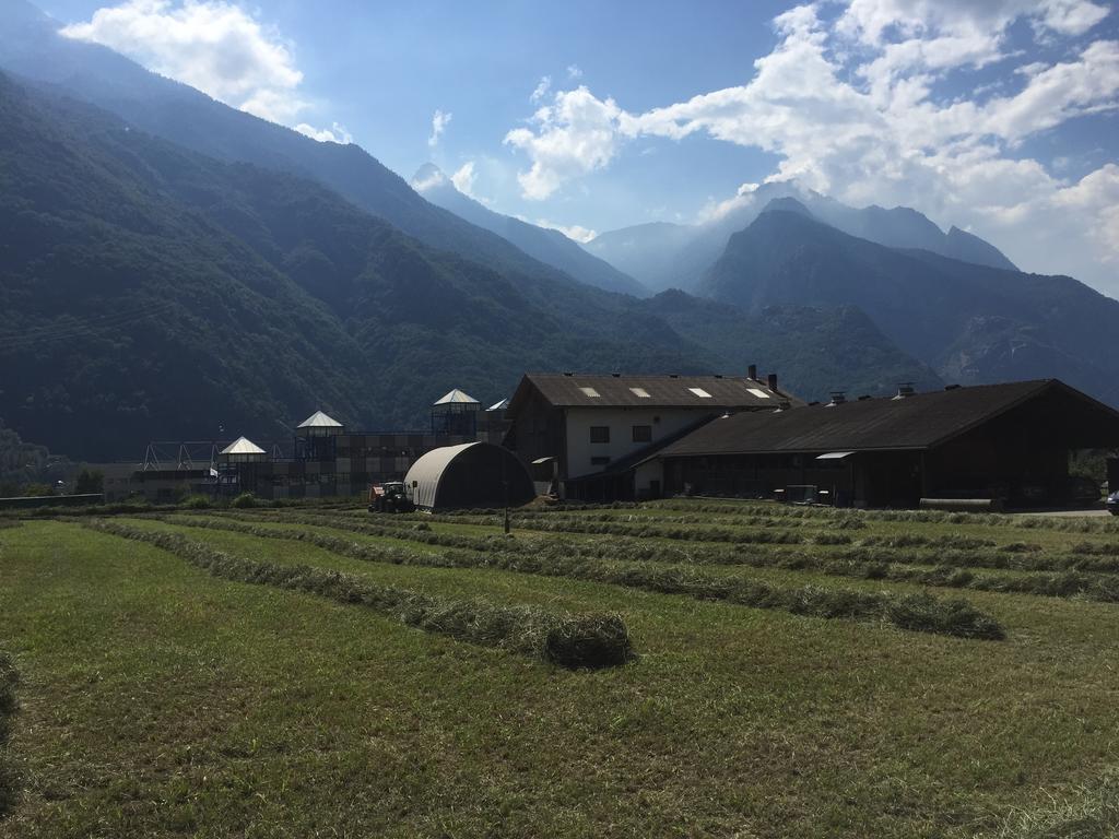 Agriturismo La Grange Pont-Saint-Martin Eksteriør bilde