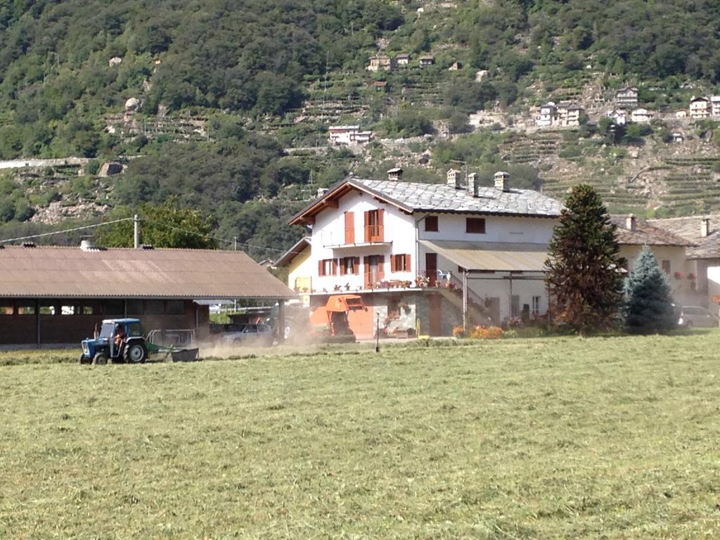 Agriturismo La Grange Pont-Saint-Martin Eksteriør bilde