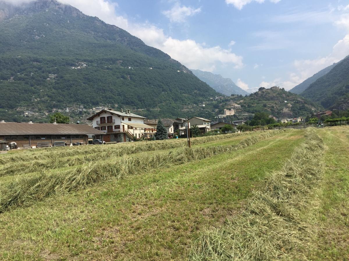 Agriturismo La Grange Pont-Saint-Martin Eksteriør bilde